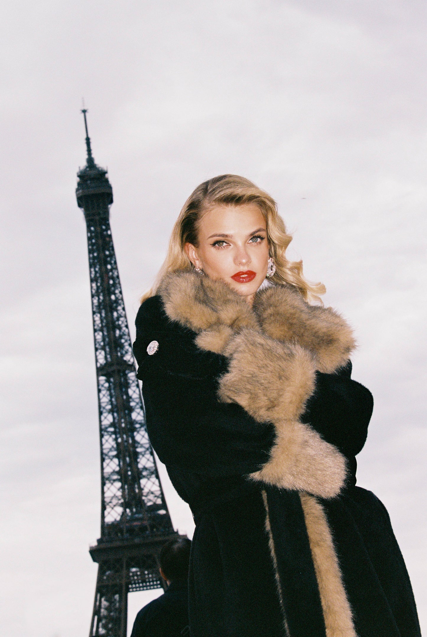 Adriana Faux Fur Coat (Black & Brown)