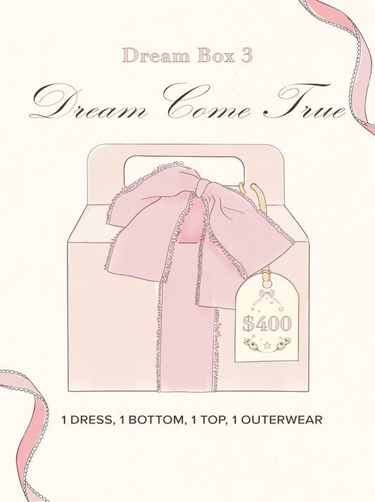 Dream Box 3: Dream Come True