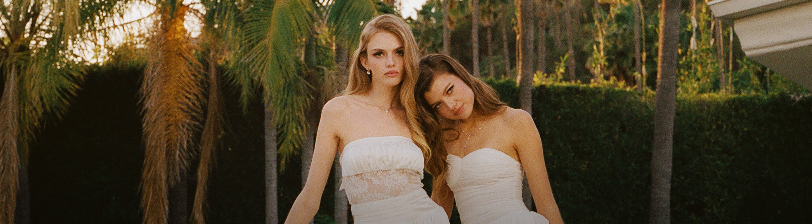 Beverly Hills Diaries